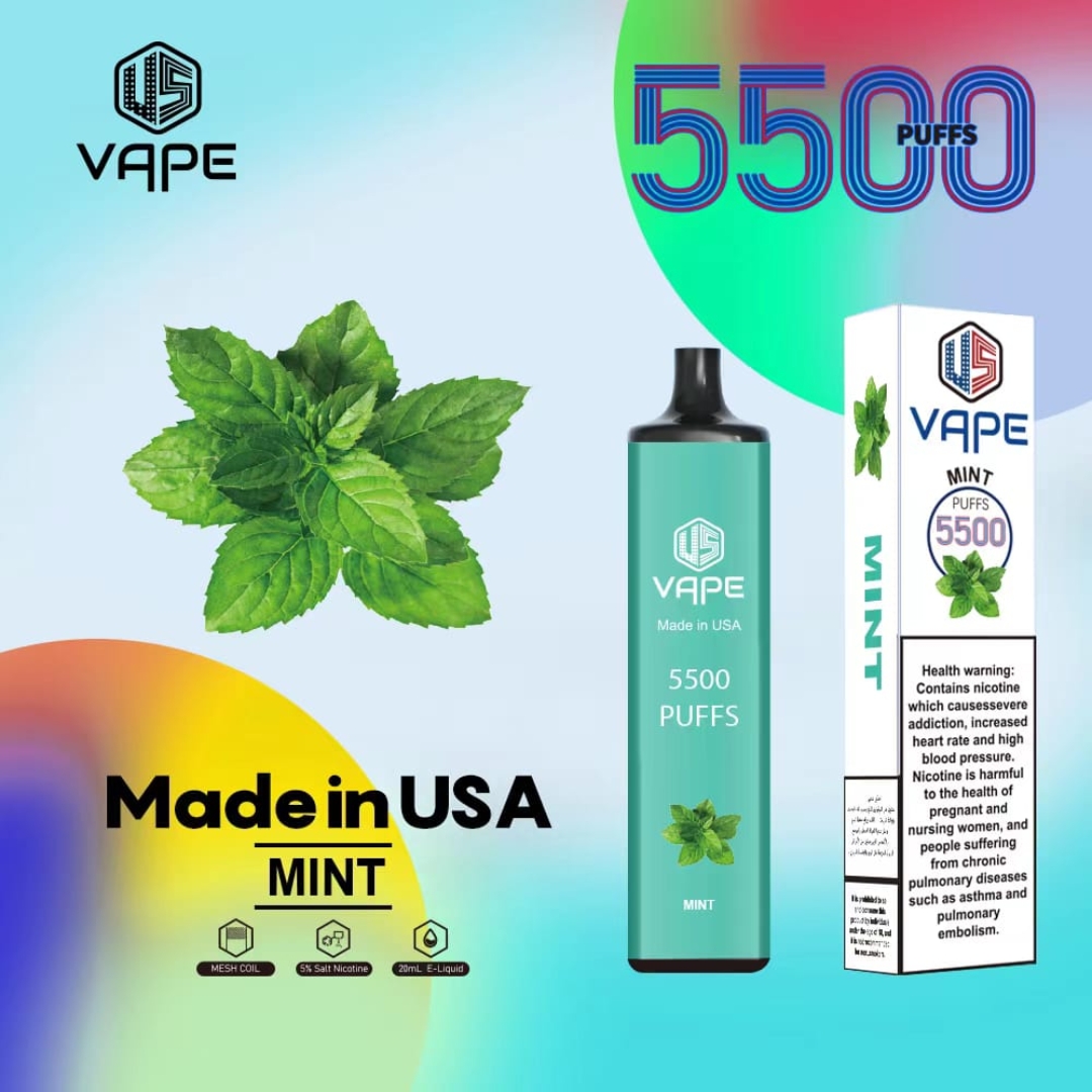 US vape disposable 5500 Mint